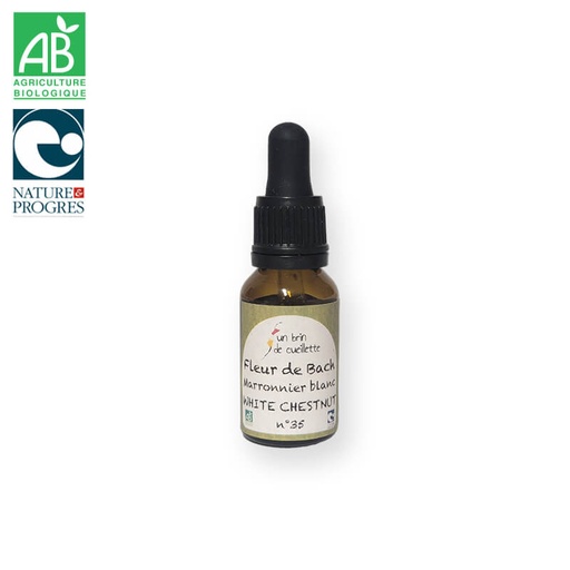 Fleur de bach : Marronnier blanc