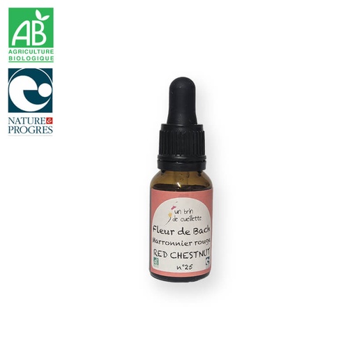 Fleur de bach : Marronnier rouge