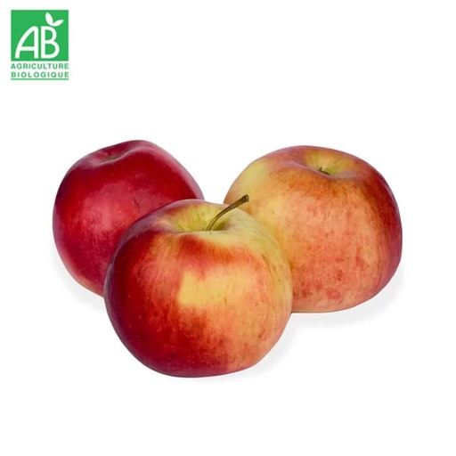Pomme Idared Bio
