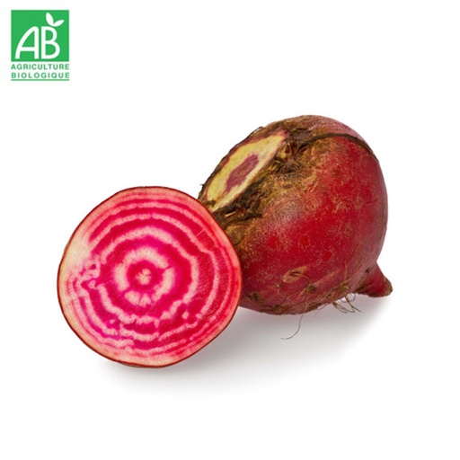 Betterave chioggia bio