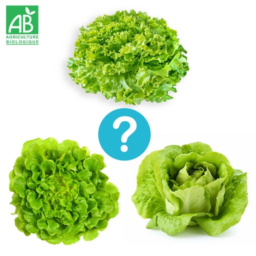 Salades Bio à la pièce