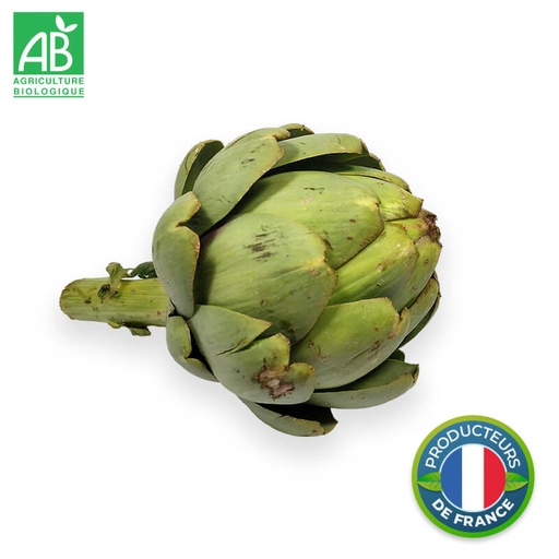 Artichaut Bio (gros calibre)