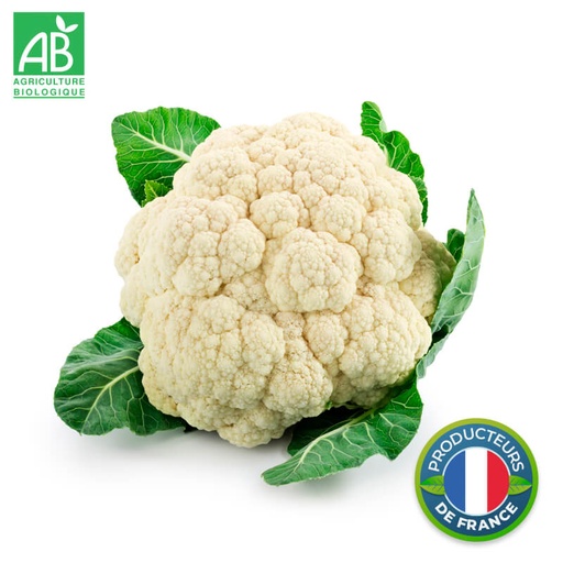 Chou-fleur blanc Bio