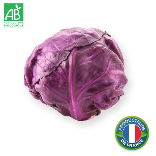 Chou rouge Bio