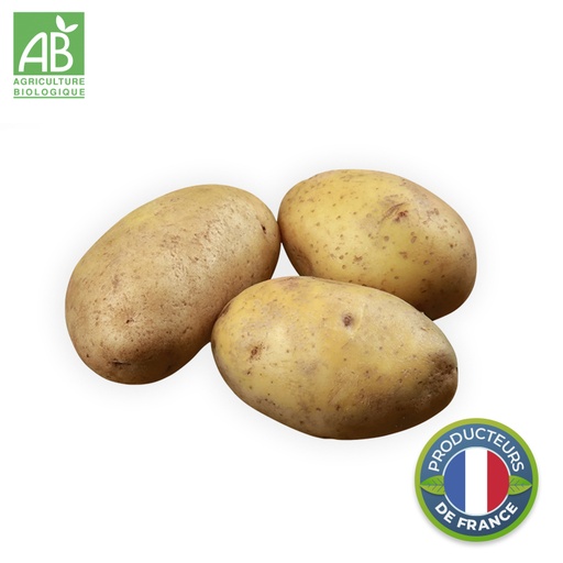 Pomme de terre Agria Bio