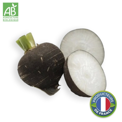 Radis Noir rond Bio