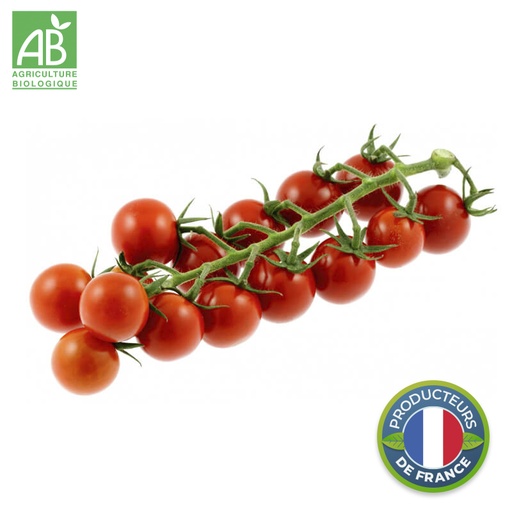 Tomates Cerises Bio en grappe