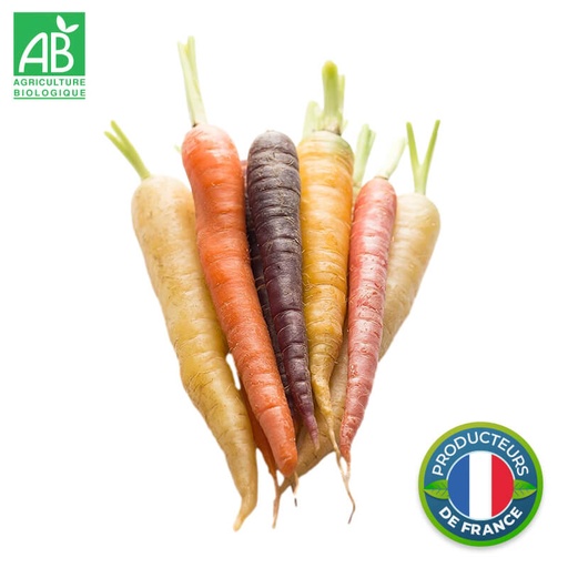 Carottes Arc-en-Ciel Bio