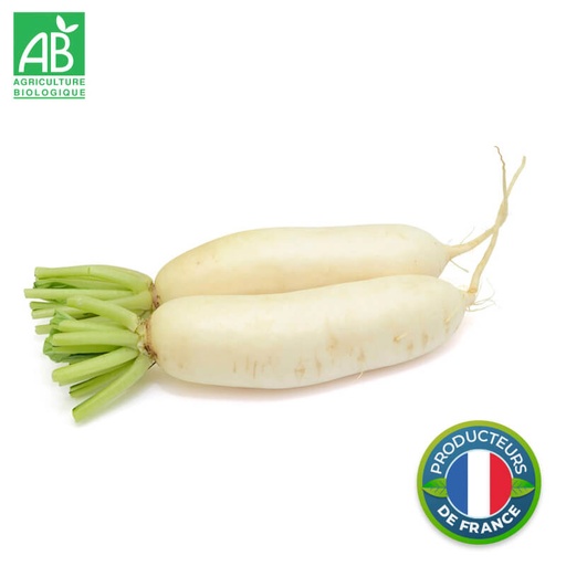Radis long blanc Bio