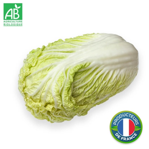 Chou Chinois Pe Tsaï Bio