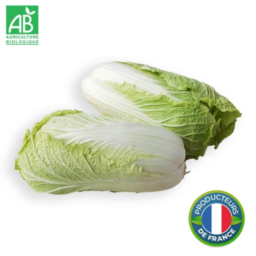 Chou Chinois Pe Tsaï Bio