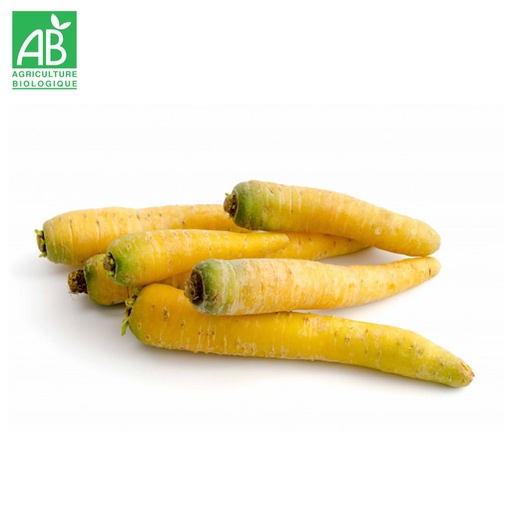 Carottes Jaunes vrac bio
