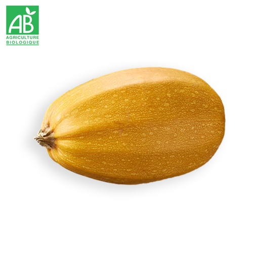 Courge Spaghetti Bio