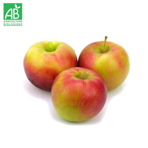 Pomme Pixie Bio