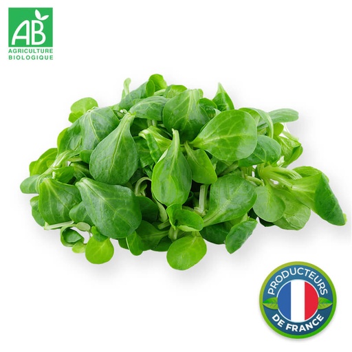 Salade mâche Bio