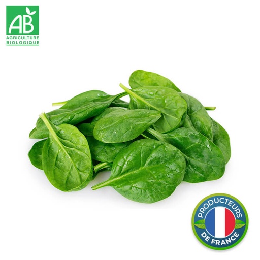 Épinards Bio