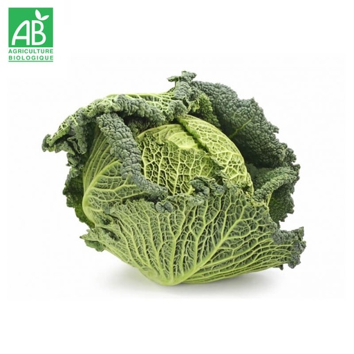 Chou vert frisé Bio