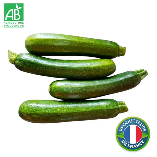 Courgette verte Bio (petit calibre)