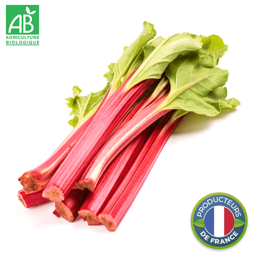 Rhubarbe Bio