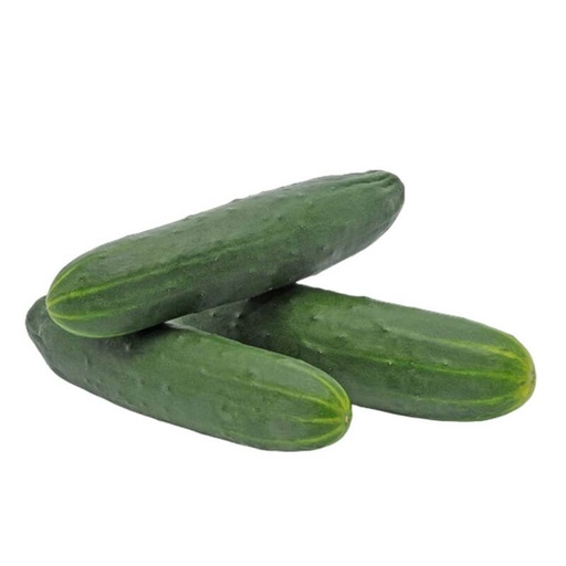 Concombre noa