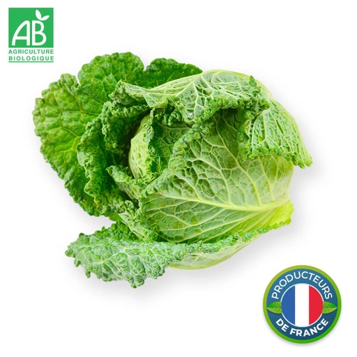 Chou de Milan bio