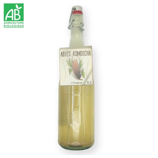 Kombucha Originale bio