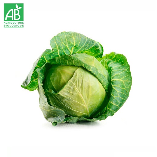 Chou Blanc Cabus bio