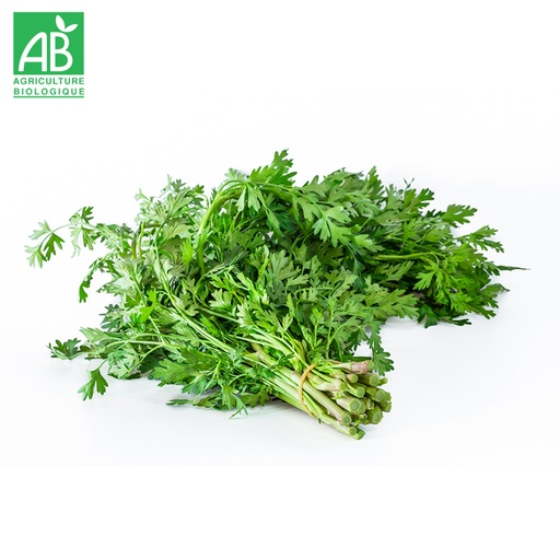 Coriandre Bio en botte
