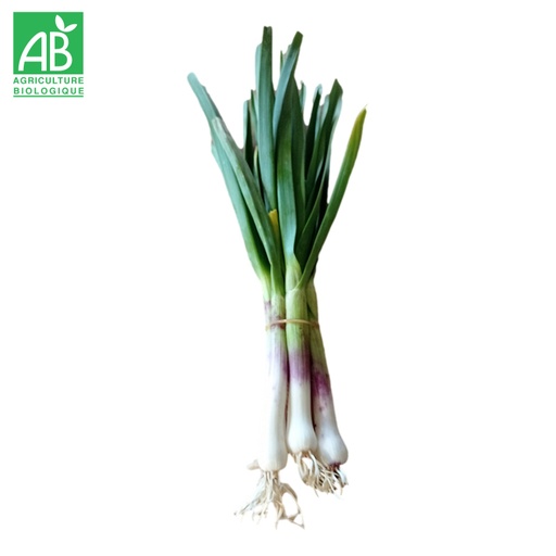 Aillet Bio botte