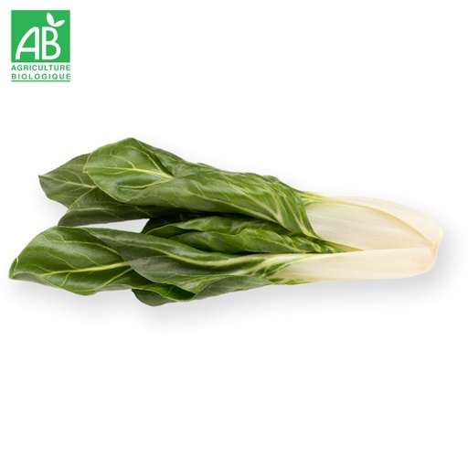 Bettes Blanches Bio en botte