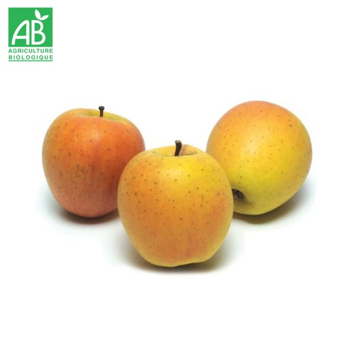 Pomme Goldrush bio