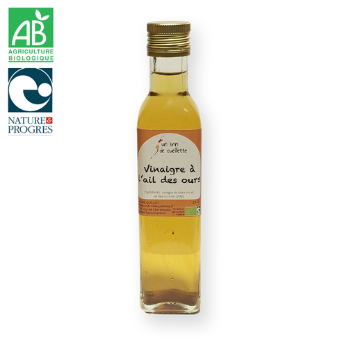 Vinaigre à l’ail des ours